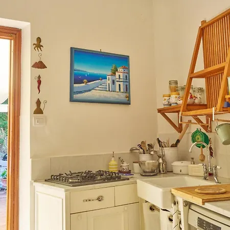 D'apuzzo Nel Cuore Di *